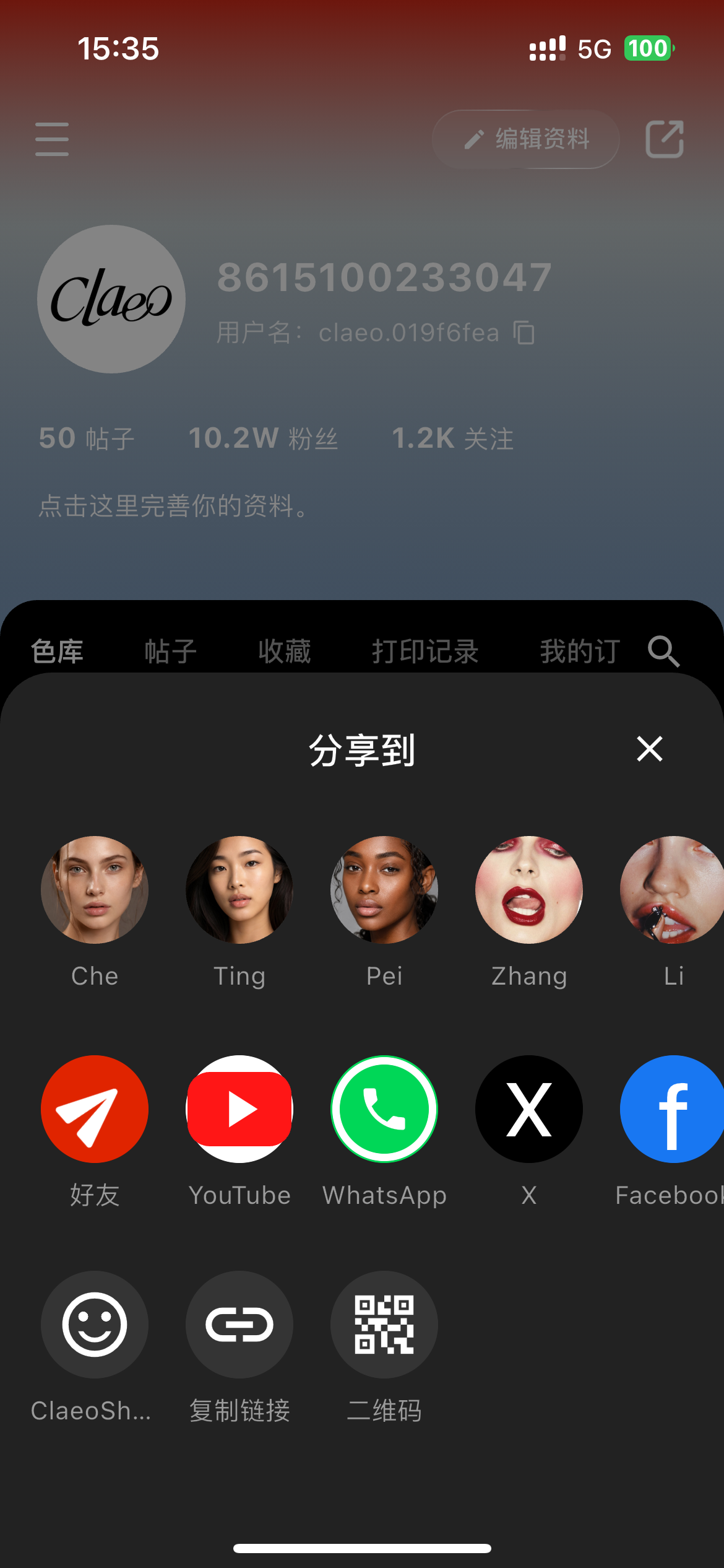 多模态试色成果分享与导出